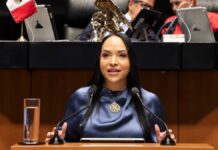 Reforma de Propiedad Industrial protege contra fraudes: Liz Sánchez
