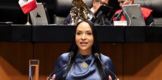 Reforma de Propiedad Industrial protege contra fraudes: Liz Sánchez