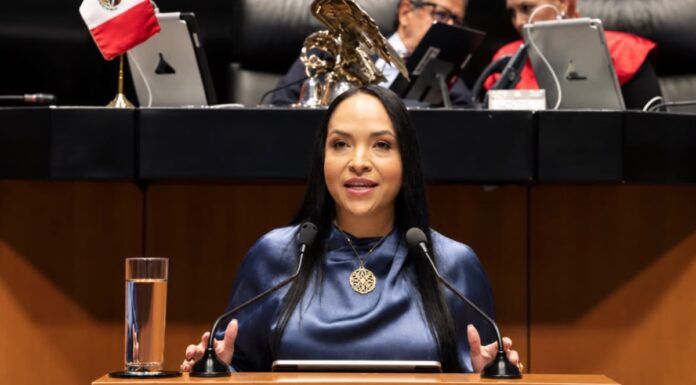 Reforma de Propiedad Industrial protege contra fraudes: Liz Sánchez
