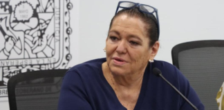 Luana Amador propone consulta legislativa para personas con discapacidad