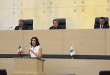 Proponen incorporar el acecho como forma de violencia contra las mujeres