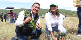 Pável Gaspar participa en reforestación de escuelas de Izúcar