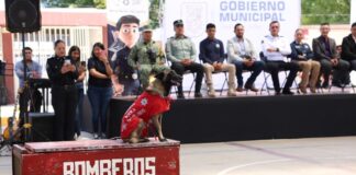 Cuautlancingo realiza Jornada por la Paz en Bachillerato Josefa Ortiz
