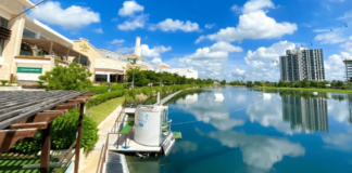 ¿Qué es la “ameba comecerebros” detectada en un lago de Mérida?