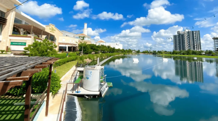 ¿Qué es la “ameba comecerebros” detectada en un lago de Mérida?