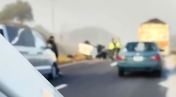 Persona muere tras salir de la carretera en la Puebla-Tehuacán