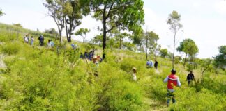Texmelucan ha plantado más de 3 mil 800 árboles en 2026