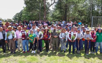Tonantzin Fernández encabeza jornada de reforestación en el Cerro Zapotecas