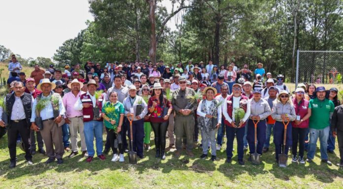 Tonantzin Fernández encabeza jornada de reforestación en el Cerro Zapotecas