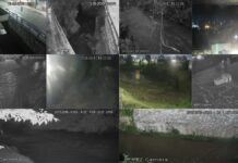 Atienden reportes por lluvias y caída de árboles en Puebla capital