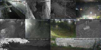 Atienden reportes por lluvias y caída de árboles en Puebla capital
