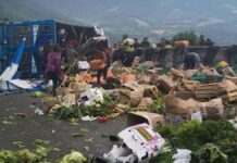 Tráiler con verduras vuelca en la Puebla-Orizaba; deja un lesionado