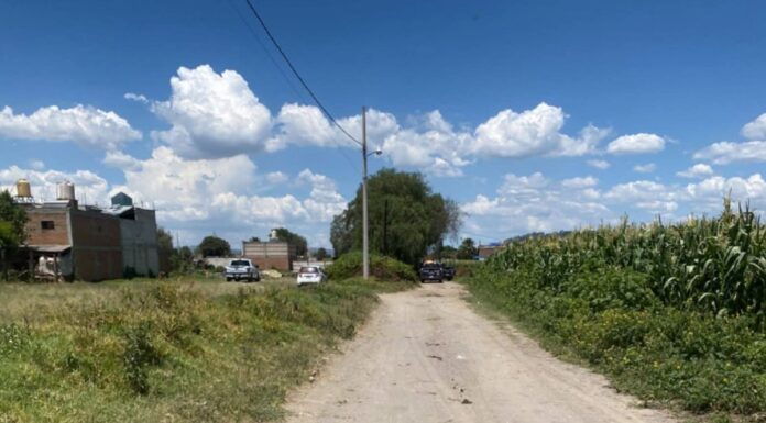 Hallan a hombre decapitado en terrenos de cultivo de Xalmimilulco