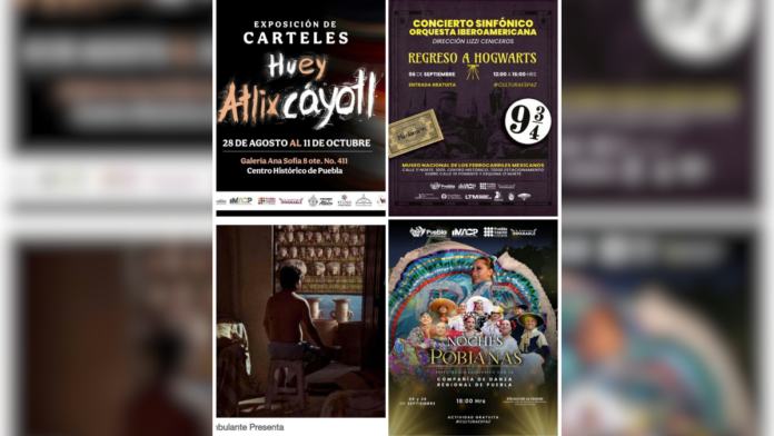 actividades