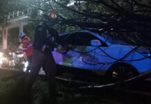 Puebla capital despliega operativo por lluvias; atienden cuatro árboles caídos