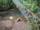 Supervisan arroyo de San Agustín Atlihuácan por riesgo de inundación