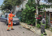 Cuautlancingo mantiene operativo por afectaciones tras fuerte lluvia
