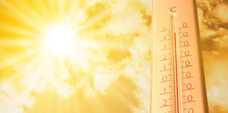 “El Niño” podría causar 451 mil muertes por calor en el mundo