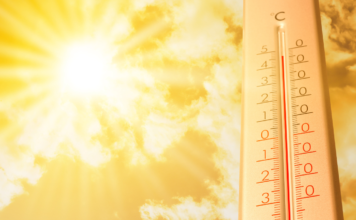 “El Niño” podría causar 451 mil muertes por calor en el mundo