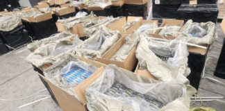 Decomisan 3.8 millones de cigarrillos apócrifos en CDMX y Michoacán