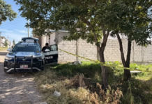Localizan sin vida a hombre en parque de Guadalupe Hidalgo