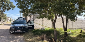 Localizan sin vida a hombre en parque de Guadalupe Hidalgo