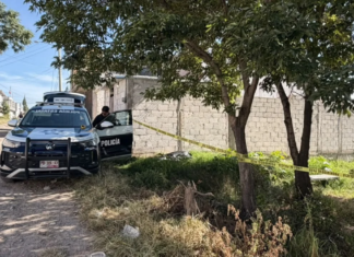 Localizan sin vida a hombre en parque de Guadalupe Hidalgo