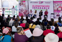 DIF Puebla Capital entrega despensas en Santo Tomás Chautla