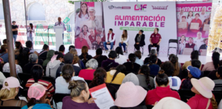 DIF Puebla Capital entrega despensas en Santo Tomás Chautla