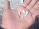 ¿Qué se sabe del hallazgo de mil 600 dientes de leche en Michoacán?