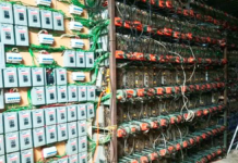 Aseguran “mina” de criptomonedas con 300 equipos en Tlaola