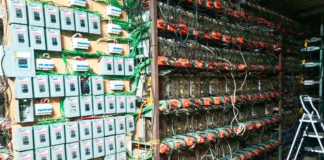 Aseguran “mina” de criptomonedas con 300 equipos en Tlaola