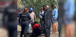 Mujer resulta lesionada tras choque con transporte público en Tehuacán