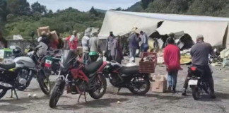 Tráiler con toneladas de tunas vuelca en la Puebla-Orizaba