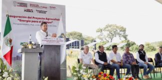 Armenta inaugura proyecto agrovoltaico en Tianguismanalco