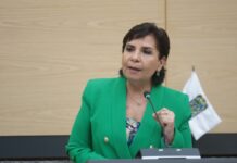 Presentan propuesta para fortalecer el manejo de fauna silvestre en entornos urbanos