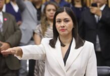 Designan como presidenta provisional del INE a Blanca Cruz, extitular del IEE Puebla