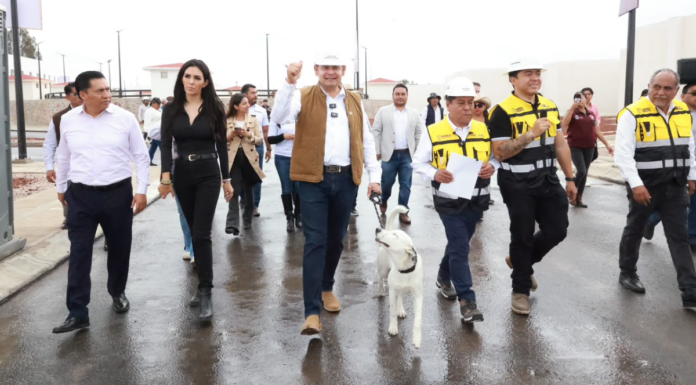 Célula de Bienestar Animal en Puebla alcanza 88% de avance