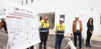 Armenta supervisa Célula de Bienestar Animal con 88% de avance