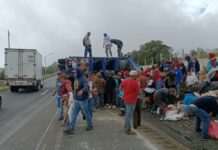Volcadura tráiler que transportaba cerdos en la Puebla-Orizaba