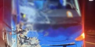 Motociclista muere tras choque con autobús en la Cuacnopalan-Oaxaca