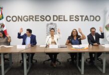 Comisión del Congreso aprueba exhorto para revisar el Registro de Organizaciones de la Sociedad Civil