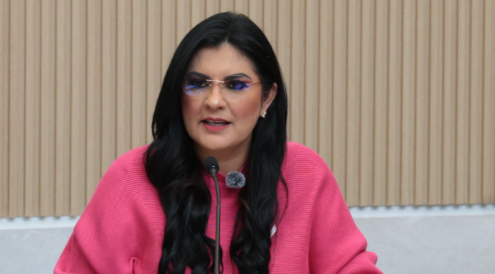 Delfina Pozos anuncia gira de trabajo legislativa por Nueva York
