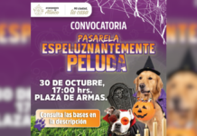 Atlixco realizará el Primer Concurso de Disfraces para Perros