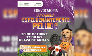 Atlixco realizará el Primer Concurso de Disfraces para Perros