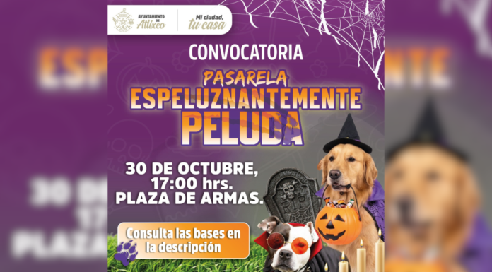 Atlixco realizará el Primer Concurso de Disfraces para Perros