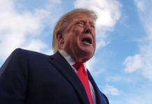 Trump vuelve a insistir en que los cárteles “controlan” México