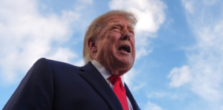 Trump vuelve a insistir en que los cárteles “controlan” México