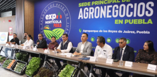 Presentan Expo Hortícola 2026 en el Congreso de Puebla