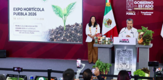 Gobierno de Puebla presenta la edición 2026 de la Expo Hortícola